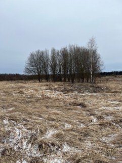 Вид с улицы Троицкие усадьбы